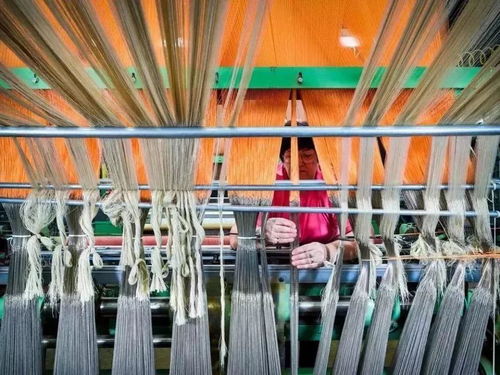 美國出口管制清單新增14類技術，特種紡織品貿易面臨新挑戰